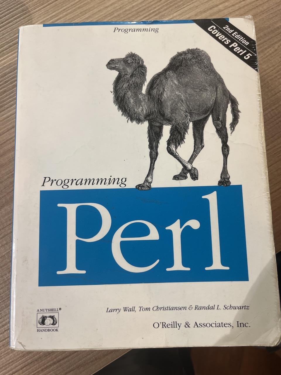 A worn copy of the Camel Book about Perl from early 2000s