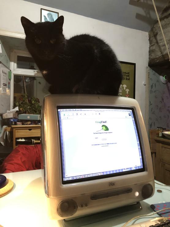 A black cat sitting on top of an iMac g3 