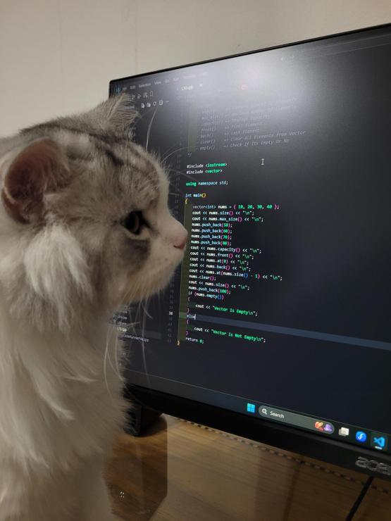 Photo of a fluffy cat staring at a computer monitor with C++ code on the screen.