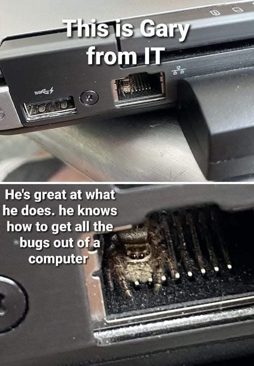 Photo of a LAN port on a laptop, with a tiny spider sitting in it.

Caption:
This is Gary from IT
He's great at what he does. he knows how to get all the *bugs out of a computer